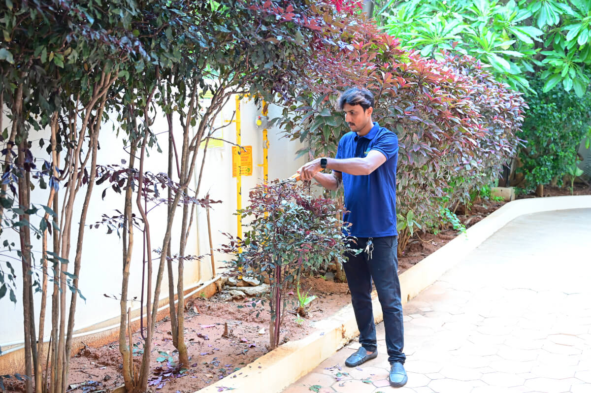 Gardening